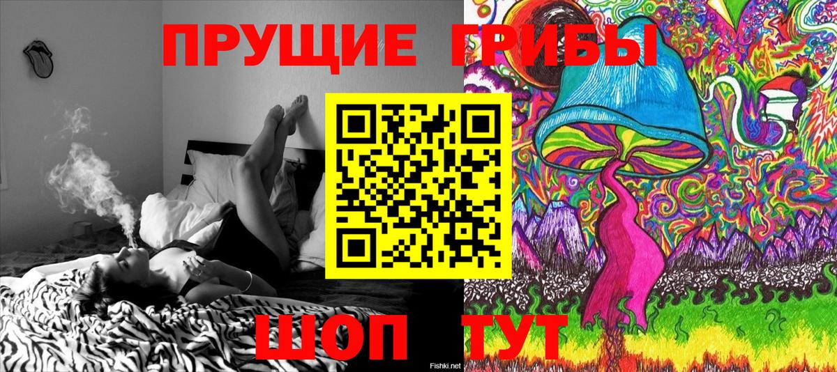 Псилоцибиновые грибы Magic Shrooms  Вход с VPN  Нарткала  Галлюциногенные грибы Magic Shrooms 